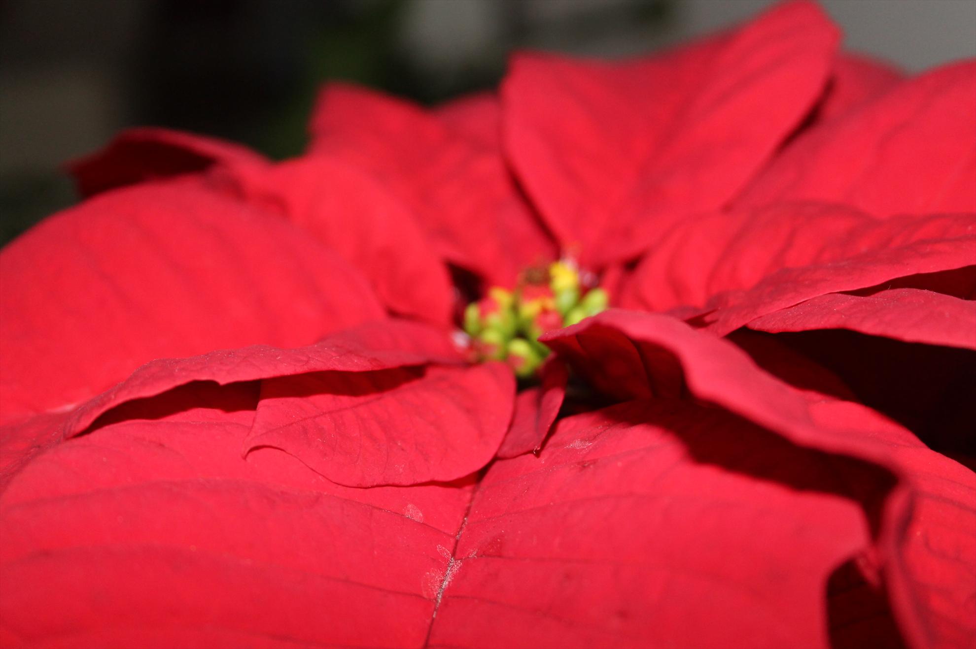 My new passion...1 - 1-101.JPG